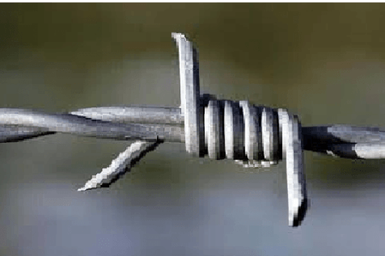 Barbed wire